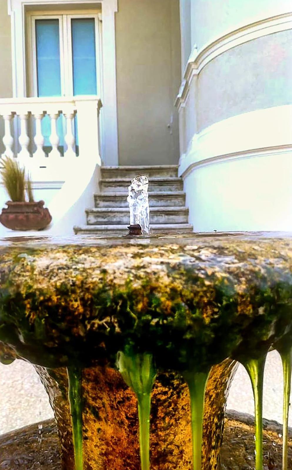Villa La Torretta Luxury B&B - Adults Only - Rimini Eksteriør billede